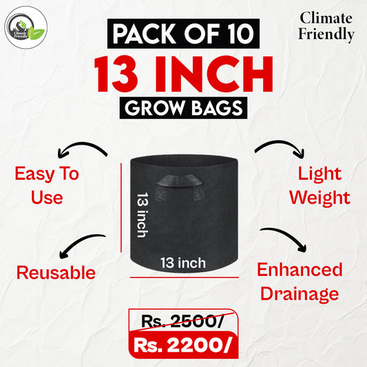 Pack of 10 13x13 inch Grow Bags
