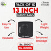 Pack of 10 13x13 inch Grow Bags