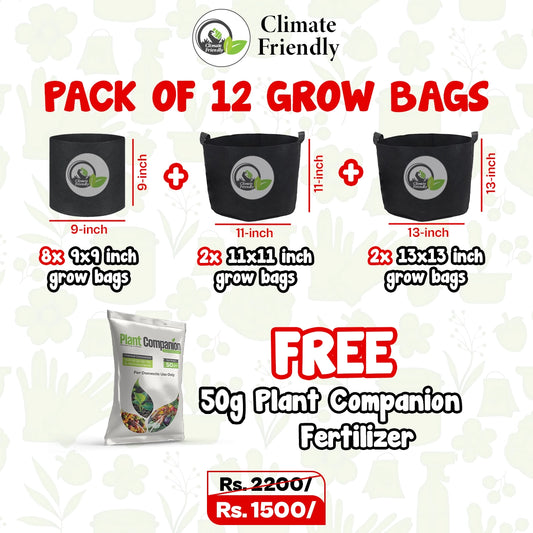 Pack of 12 Grow Bags