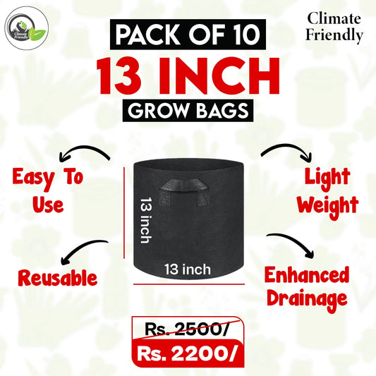 Pack of 10 13x13 inch Grow Bags