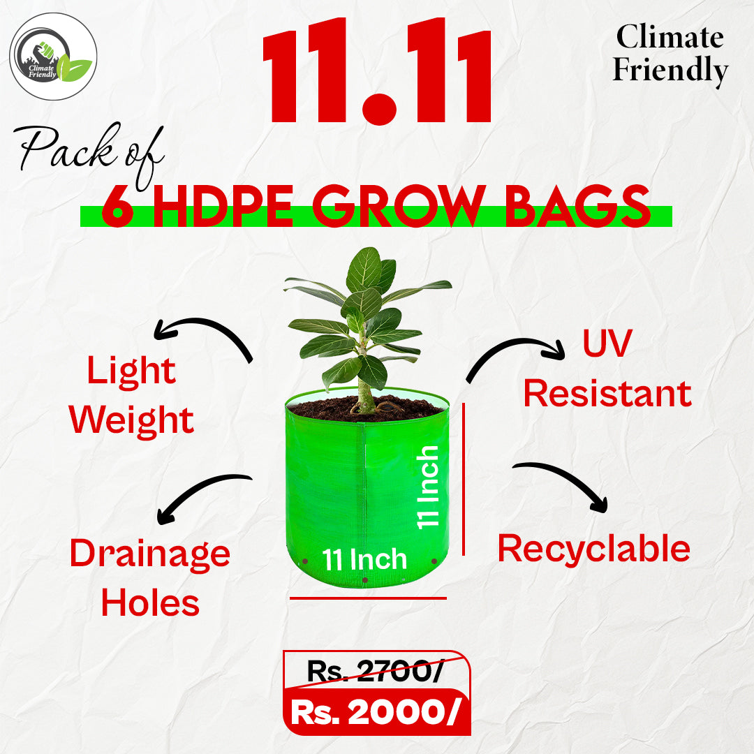 11.11 Pack Of 6 HDPE Grow Bags
