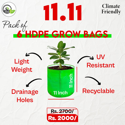 11.11 Pack Of 6 HDPE Grow Bags