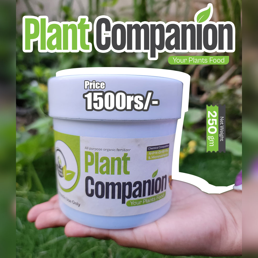 Plant Companion Fertilizer 250 Grams