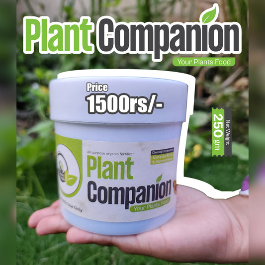 Plant Companion Fertilizer 250 Grams