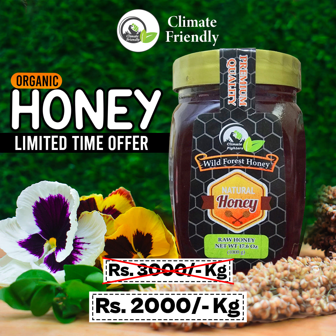 Organic Wild Honey